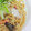 haricho's cooksnap of when they made 鮭ときのこの大根おろしのせパスタ.