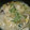 ｽｶｲﾌｨｯｼｭ☆'s cooksnap of when they made 鶏とシメジのたまご雑炊.