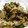 maruru-nn's cooksnap of when they made 青梗菜と牛肉の中華炒め.