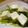 maruru-nn's cooksnap of when they made 豆苗と豆腐の炒め物.