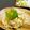 かおたんかずたん's cooksnap of when they made これでもか紫蘇＆鶏のパスタ＊柚子胡椒風味.