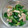 ぽんぽん72's cooksnap of when they made ほうれん草のナムル風 にんにくごまあえ.