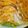 ⓟⓔⓟⓔ's cooksnap of when they made いかフェ.