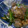 チョビ～☆'s cooksnap of when they made アスパラとほたての ぽん酢炒め.