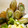maruru-nn's cooksnap of when they made 簡単！ちくわのおかず（きゅうりとチーズ）.