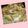 しゃーえ's cooksnap of when they made ふんわり親子丼.