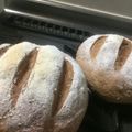 みわりーん's cooksnap of when they made プルーンピューレで全粒粉のヘルシーパン.