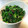ゆりYO船長's cooksnap of when they made タアサイの胡麻和え⭐.