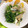 ひろカ's cooksnap of when they made 高野豆腐とみつばの玉子とじ.