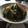 tkともtk's cooksnap of when they made 小松菜と豚肉 竹輪炒め.