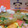 shouko's cooksnap of when they made ちらし寿司用☆すし飯の作り方(＾０＾).