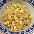 ベジ豆's cooksnap of when they made 豆もやしと春雨のさっぱりサラダ.