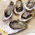 えり1222☆'s cooksnap of when they made 殻付牡蠣のむき方.