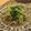ＷａＴヒロコロ's cooksnap of when they made 水菜の胡麻和え.