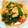 懌ちゃん's cooksnap of when they made トマトの卵炒め☆.