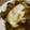 maruru-nn's cooksnap of when they made ♪牡蠣の甘辛丼♪.