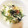 maminum's cooksnap of when they made 梅とおろしの冷やしぶっかけうどん.