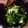 mack♪♪♪'s cooksnap of when they made 春菊のおひたしver簡単.
