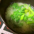 まじゅじゅ's cooksnap of when they made 菜の花からし和えのお味噌汁♪.