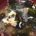 8862mina's cooksnap of when they made コンソメどぼん！手抜き中華わかめスープ♥.