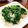 YUKIKI☆'s cooksnap of when they made 時短✿シャキシャキ豆苗＆豚しゃぶ重ね蒸焼.