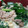 白熊セレブ's cooksnap of when they made 白菜・にらと豚の卵とじ.