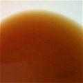 yukksmi's cooksnap of when they made 大根おろし、その後に。。。.
