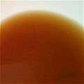 yukksmi's cooksnap of when they made 大根おろし、その後に。。。.