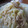 そらりんぽん's cooksnap of when they made 白菜とホタテ（缶）の簡単煮.