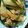ronnron's cooksnap of when they made 簡単★チンジャオロース丼.