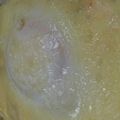 えんそく's cooksnap of when they made ヘルシー豆腐グラタン♡.