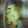 わためちゃん's cooksnap of when they made 介護食【とろ～りかぼちゃの豆腐グラタン】.