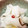 し〜〜ちゃん's cooksnap of when they made 簡単千枚漬け♪.