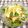 Satoco❋'s cooksnap of when they made 大根の☆あっさり簡単ピーラーサラダ♪♪.
