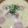 あき0304's cooksnap of when they made 残り野菜で☆白みそ入りミルクスープ.