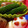 mantacarp's cooksnap of when they made なぞのたまご！うずら枝豆弁当に一品.