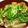 亜早也's cooksnap of when they made 活力鍋でもつ煮込み.