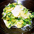 にゃんこtaro's cooksnap of when they made 簡単もう一品♪*ﾟ白菜と豆苗のサラダ.