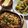 ちーっよ's cooksnap of when they made 【STAUB鍋】鶏肉と豆のトマト煮込み.