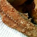 リオマママ's cooksnap of when they made 骨せんべい☆鯵、さんまの骨の唐揚げ.