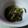 ｍａｍａｒａｄｅ's cooksnap of when they made フキノトウの酢の物.