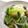 tskdyk's cooksnap of when they made ほうれん草の煮びたし.