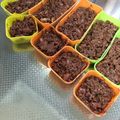 わたしのnana最高's cooksnap of when they made ☆簡単☆安い☆チョコの大量生産☆.