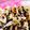 クック6PV2HY☆'s cooksnap of when they made mバレンタイン☆ミニチョコチップスコーン.