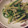 ルリナ's cooksnap of when they made 大根の皮でキンピラ風・・・エコレシピ.