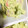 しぢゅくまま's cooksnap of when they made アボカドとエビのデパ地下風サラダ.