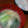 がるばんぞママ's cooksnap of when they made たけのこと小松菜のみそ汁.