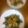 マルトク's cooksnap of when they made 牡蠣のガーリックソテー☆バター醤油.