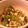 ぐみるく's cooksnap of when they made ごまたっぷり♪　菜の花の辛子酢醤油和え.
