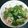 000mie's cooksnap of when they made つきだし一品!新玉ねぎと大根のサラダ.